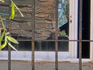 Asesinaron a una mujer de un disparo en el tórax