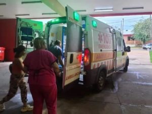 Siete perros atacaron a un niño en su casa