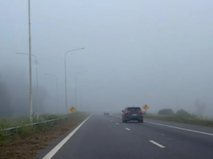 Alerta violeta por niebla en Rosario y la región: visibilidad reducida en rutas