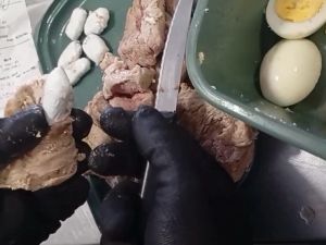 Detuvieron a una mujer que intentó ingresar cocaína escondida en bifes en la cárcel
