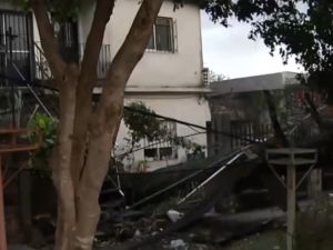 Consecuencias del temporal: un árbol arrancó postes de luz y destrozó el frente de una vivienda