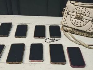 Recuperaron 27 celulares robados en una fiesta electrónica y en el recital de Pity Álvarez