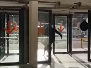 Echó a patadas a un perro de la terminal y podría recibir sanciones por maltrato animal