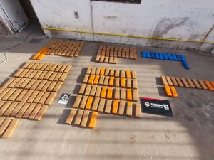 Un control por faena ilegal de carne en Serodino derivó en el secuestro de más de 109 kilos de marihuana