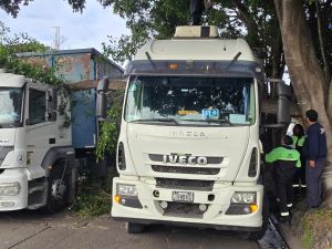 Una rama de gran porte cayó sobre dos camiones