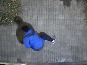 Vecinos denunciaron a un ladrón que trepa casas para robar luces y cámaras de seguridad