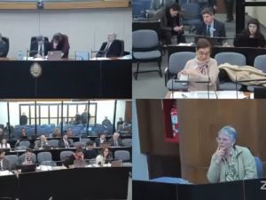 Causa Cuadernos: la exesposa de Centeno admitió haber sido testaferro