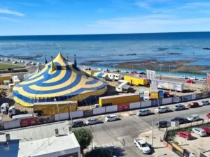 Detuvieron a un exempleado acusado de incendiar un circo en Comodoro Rivadavia