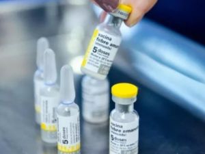 Refuerzan la vacunación contra la fiebre amarilla en Salta tras casos detectados en Bolivia