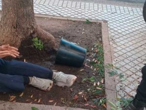 Una mujer fue herida tras caerle una maceta con una planta de marihuana en pleno centro