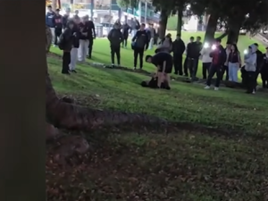 Violenta pelea de adolescentes frente al Monumento a la Bandera