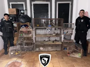 Pérez: rescataron 53 aves silvestres que iban a ser comercializadas