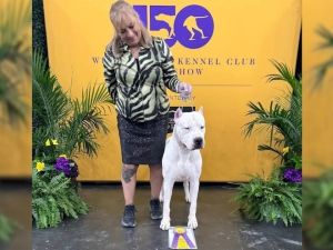 Un Dogo Argentino nacido en Córdoba ganó en el certamen canino más importante del mundo