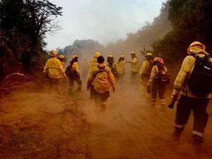 Regresaron a Santa Fe los brigadistas que combatieron los incendios en Chubut