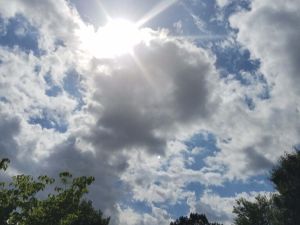 Domingo soleado y caluroso antes del regreso de las tormentas a la región