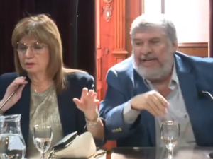 “Hacen lo que se les canta las pelotas”: fuerte cruce entre Bullrich y Mayans en el Senado