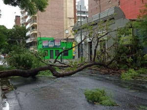 Árboles caídos, calles anegadas y columnas dañadas, por la lluvia y los vientos