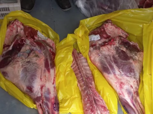 Violento robo en barrio San Francisquito: golpearon a un repartidor para robarle patas de pollo