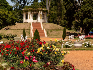 Un Día de los Enamorados: 16 parejas rosarinas sellan su amor en el Rosedal