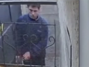 Rompieron la puerta, entraron a robar y quedaron grabados. Los delincuentes se dieron a la fuga