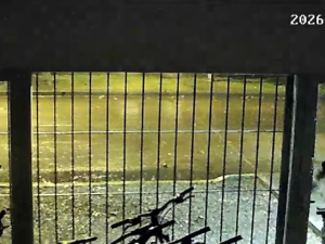 Detenidos en pleno robo: llegó la policía mientras robaban en una bicicletería