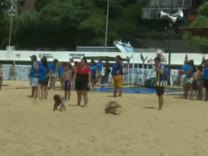 Cierre de temporada en Rosario: más de 2.000 chicos celebraron el final de las colonias en La Florida