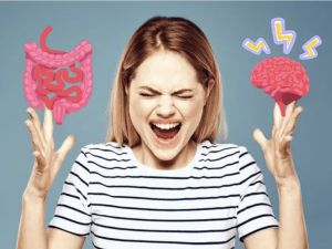 El cuerpo humano tiene un “segundo cerebro”: cómo el intestino influye en tu estado de ánimo y en tu salud