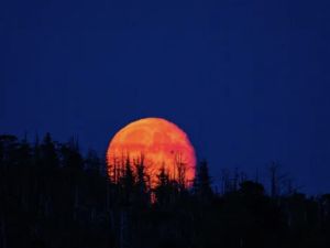 La Luna se tiñe de rojo: dónde y cómo ver el eclipse lunar en Rosario