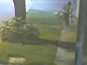 Inseguridad en zona norte: una mujer entró a robar durante la noche a una casa del barrio La Florida