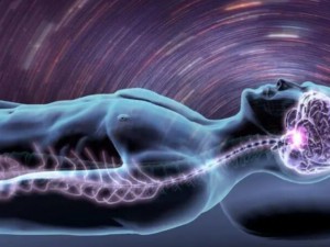 Qué sucede en el cerebro al morir: datos científicos que sorprenden