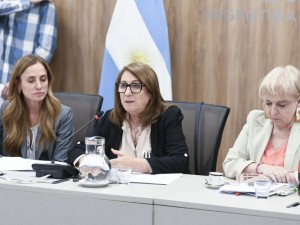 “Es una tragedia sanitaria insólita”: la comisión investigadora por fentanilo contaminado presentó el informe final