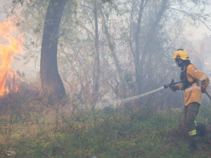 Alerta por incendios: Santa Fe, entre las zonas de "riesgo extremo" ante la ola de calor y la sequía
