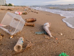 Casi el 80% de los residuos encontrados en las playas bonaerenses son plásticos, según el Censo Provincial de Basura Costera Marina 2025