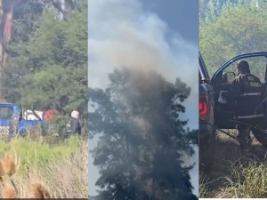 Alerta: incendios se reavivan en el Bosque de los Constituyentes