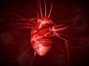 El corazón humano puede disparar sangre hasta 9 metros: curiosidades de nuestro cuerpo