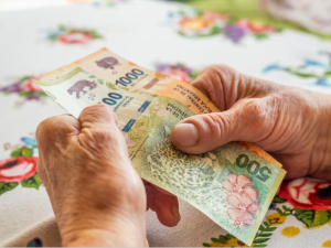 Jubilaciones de ANSES: los montos con bono y aguinaldo de diciembre