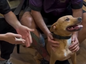 India ya tiene familia: una adopción que empezó con un video y terminó en hogar