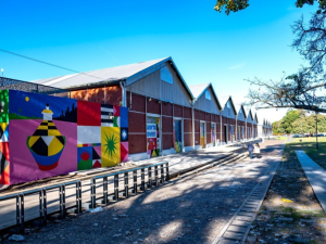 Puerto Joven lanza talleres de verano gratuitos para jóvenes