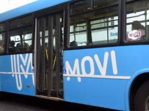 Desvíos de colectivos en el centro de Rosario por trabajos de arbolado