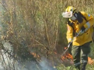 Incendios de pastizales en distintos puntos de la ciudad