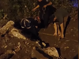 Rescataron un caballo que cayó 27 metros por una barranca en el Arroyo Saladillo