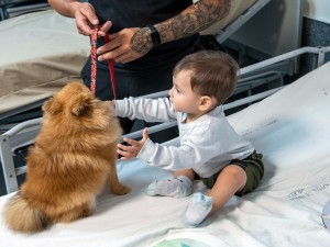 El hospital Vilela incorpora dos perras para acompañar a los niños internados