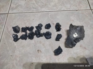 Con apoyo de perros detectores, detuvieron a una joven y secuestraron droga