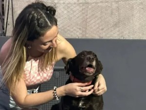 Murieron 14 mascotas en un incendio que habría sido causado por la pirotecnia