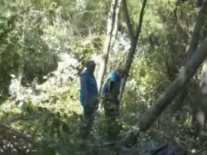 Autonomía Municipal: comenzaron a intervenir terrenos baldíos abandonados