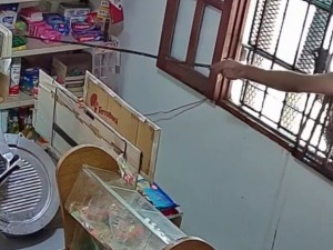 Un delincuente robó mercadería de un minimarket utilizando un palo a modo de caña
