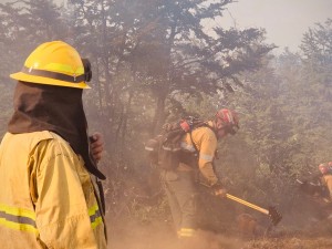 Brigadistas santafesinos combaten los incendios forestales en Chubut