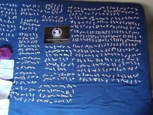 Secuestraron casi 700 dosis de cocaína en operativos en la zona oeste