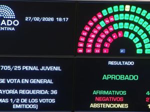 Es ley: el Senado aprobó la baja de la imputabilidad a los 14 años