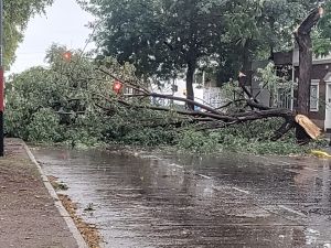 Balance de la tormenta: 150 árboles caídos y 22 techos volados
